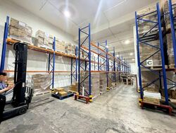 North Spring Bizhub (D27), Factory #549836341